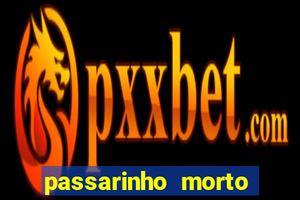 passarinho morto significado espiritual